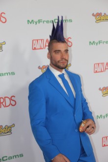 avn_2017_red_carpet_008